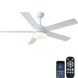 Ceiling Fan