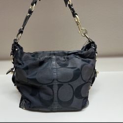 Coach carly hobo discount bag