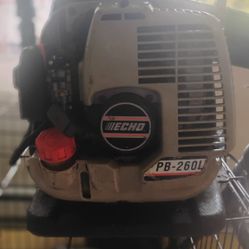 Echo Blower 
