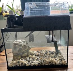Complete 20-Gallon Turtle Tank Setup with Basking Topper & Accessories