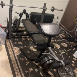 Gold's gym gb 1500 deals