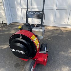 Giant Vac 6 HP Walk Behind Leaf Blower 