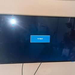 48" Flat-screen TV- w mount