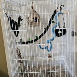 Bird Accessories And Toys