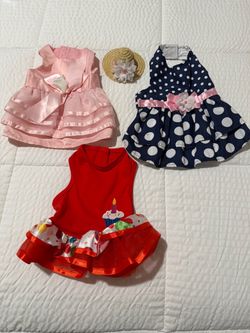 Doggie dresses/Doggie hat
