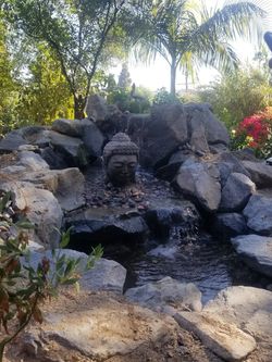 Pond builder expert