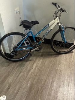 Schwin ranger 2.6 FS