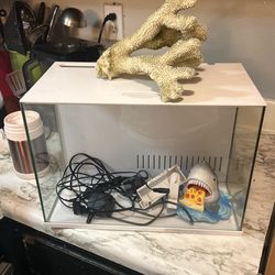 Fish Thank