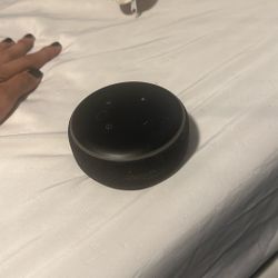 Echo Dot