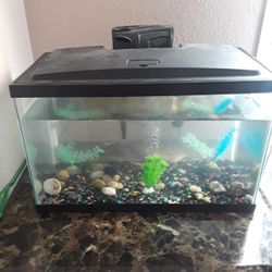 FishTank 