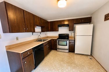 dishwasher, fridge, and electric stove