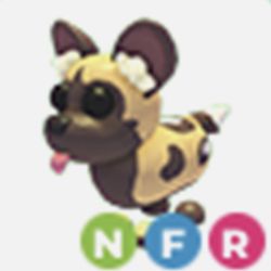 Nfr African wild dog