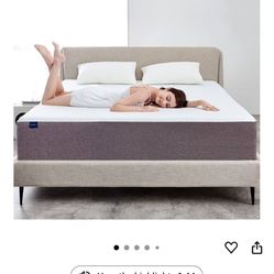 Queen Mattress and Bed Frame 