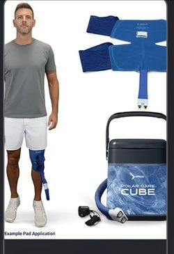 Breg polar bear cube
