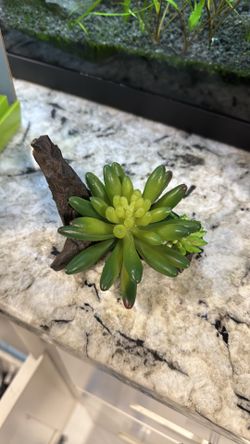 Aquarium decoration, fake plants and wood