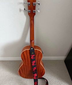 Ibanez Bajoloche