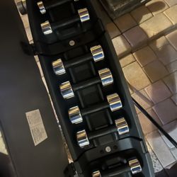 Weight Bench (with Mini Dumbells) 