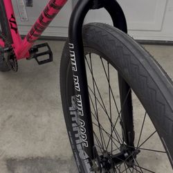 TRADE FOR CHROME FORKS 