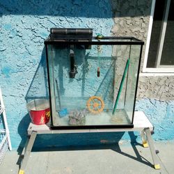 50 Gallon Tall Aquarium Fish Tank