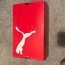 Puma Steal Toe Shoes