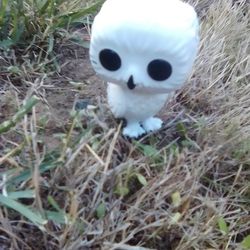 Harry Potter Funko Pop (Hedwig)
