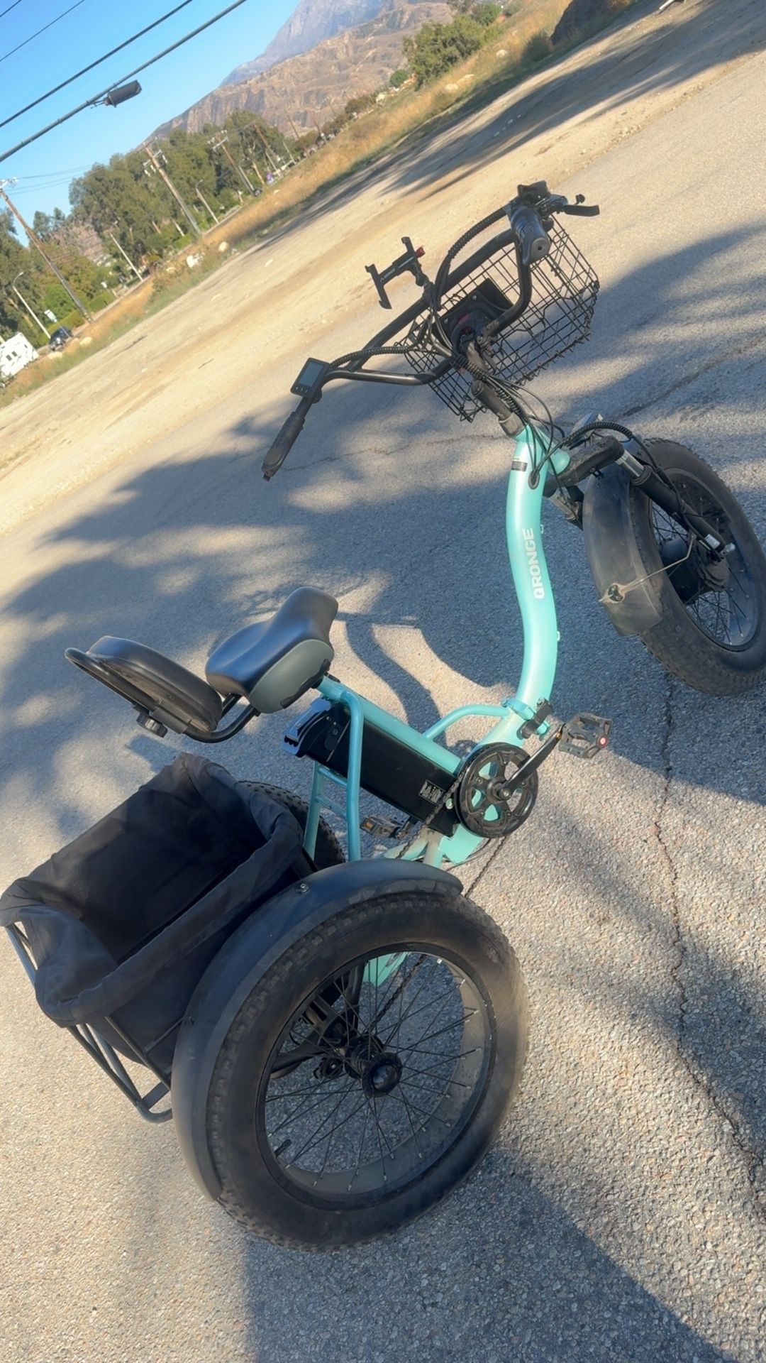 Electric Bike