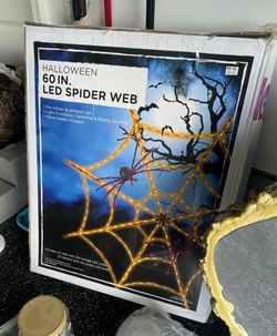 60 Inch LED Spider Web