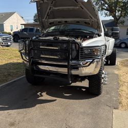 Dodge ramBrush Grill/burrera