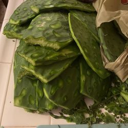 Se Vende Nopales Tiernos A $5La Bolsita