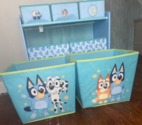 Bluey toy bins and toy shelves