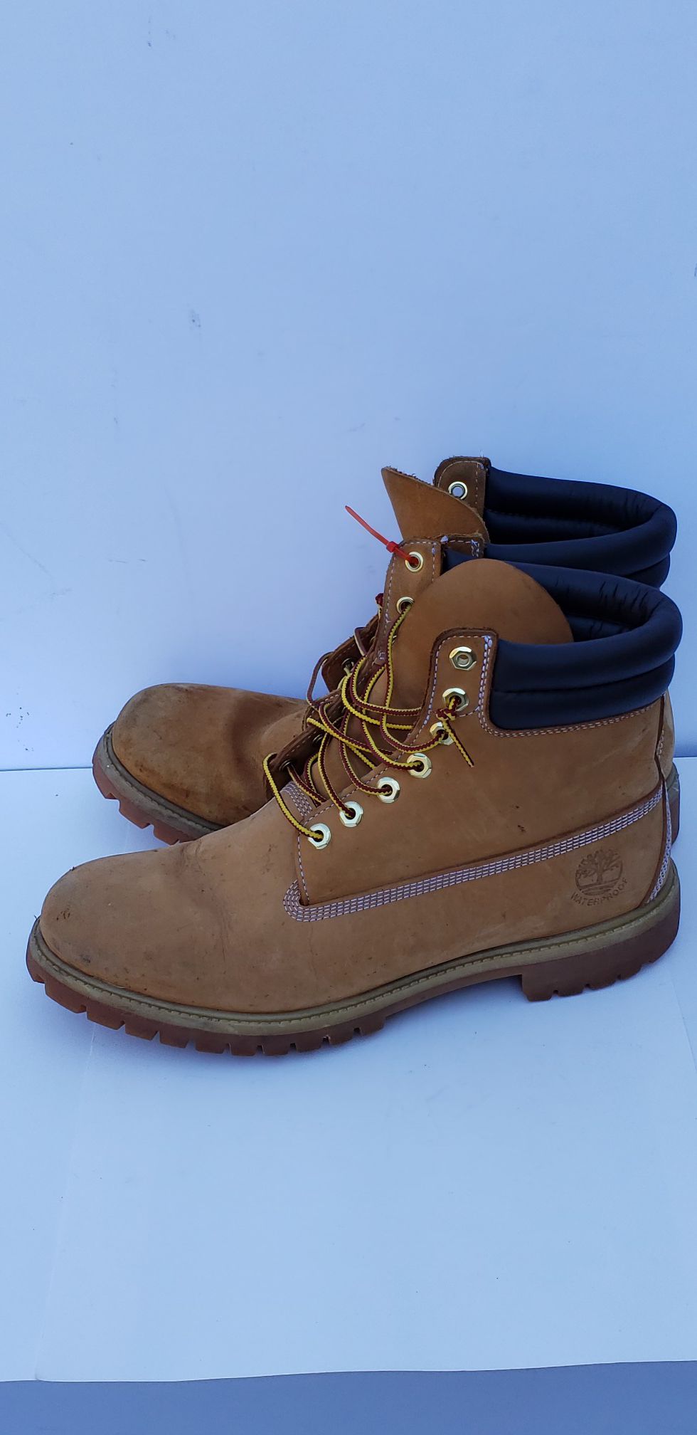 Men's Size 11.5M Timberland Boots