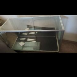 Glass Cabinet