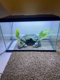 Fish tank