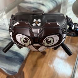 DJI Goggles v2