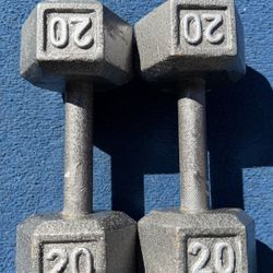 20 Pound Dumbbells 