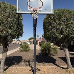 Lifetime Adjustable Basketball Hoop
