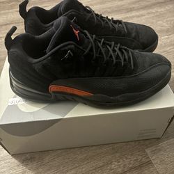 Jordan 12 max orange 