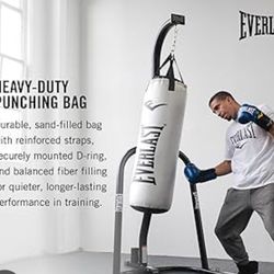 Everlast Punching Bag