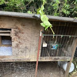 Chicken  House 