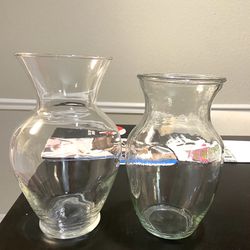 Glass Flower Vase 