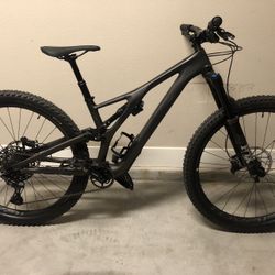 Specialized Stumpjumper  EVO. S2