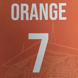 Dolphins ORANGE PARKING PASS