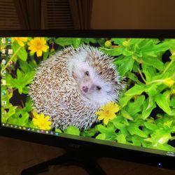 Acer 20” Monitor W/HDMI adapter