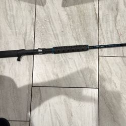 Fishing Jigging Rod