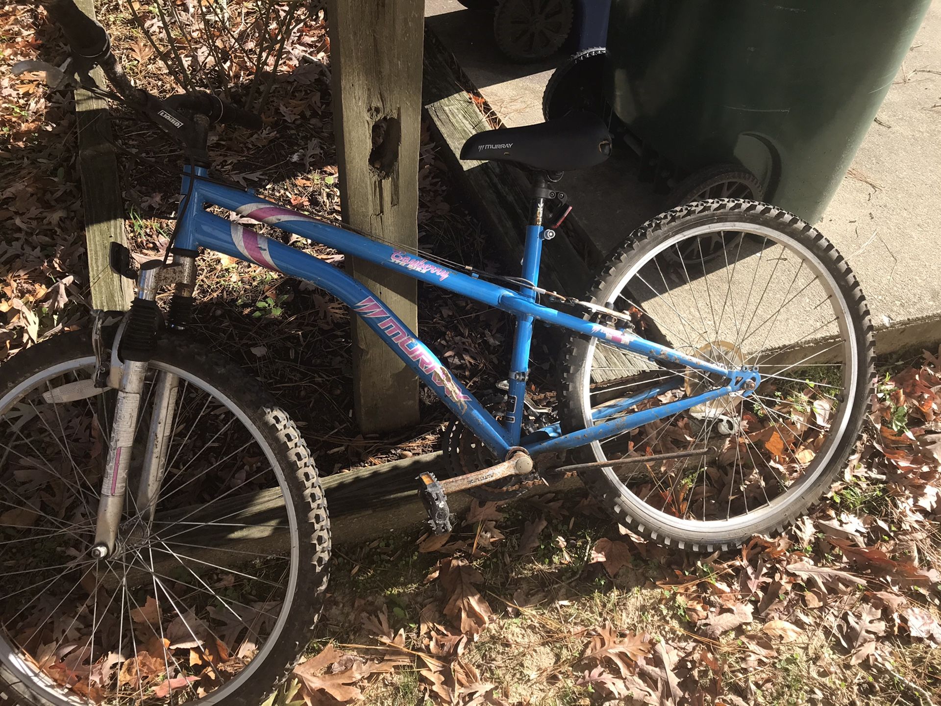 Free Bike