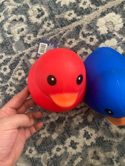 Sunny days squishy ducks