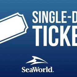 12 SEAWORLD 🐋