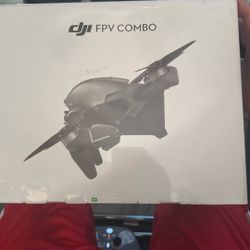 DJI FPV Combo 