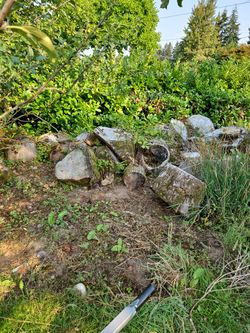 Free F I re Wood N Beds To Be Split LG Rounds Willow Tree Several Truckloads Wortg