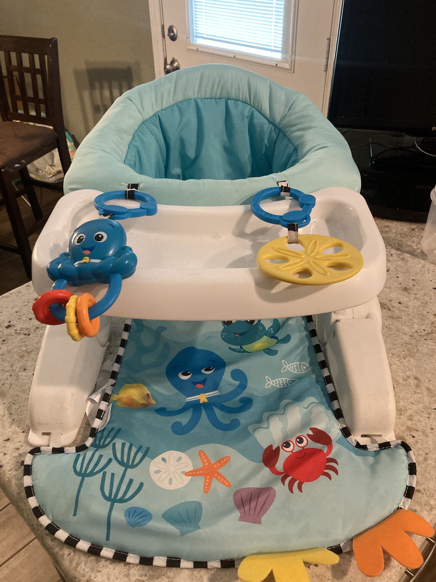 Baby Einstein Chair